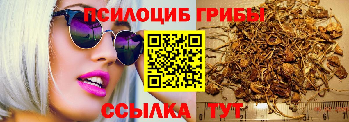Галлюциногенные грибы Magic Shrooms Миасс