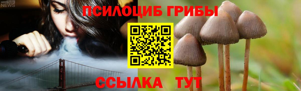 Миасс  Псилоцибиновые грибы прущие грибы  Вход с VPN  Псилоцибиновые грибы прущие грибы 