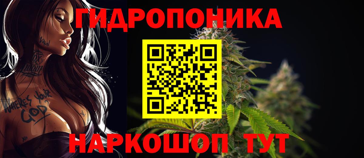 Бошки марихуана конопля Миасс